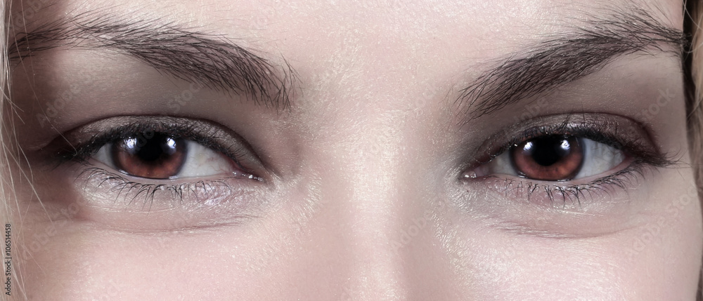 Naklejka premium le beau regard