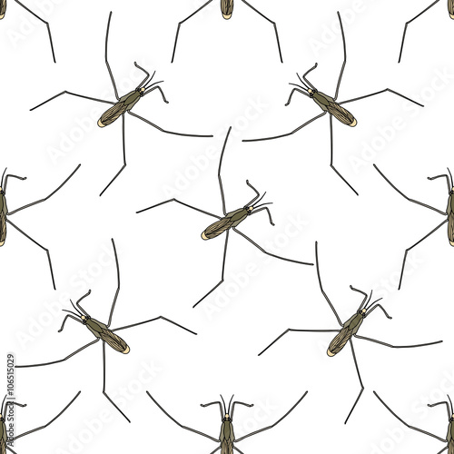 Seamless pattern with Common water strider. Gerridae. GERRIS LACUSTRIS. hand-drawn water strider . Vector 