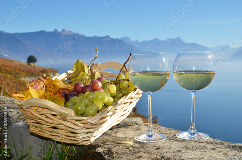 Wine and grapes against vineyards in Lavaux, Switzerland