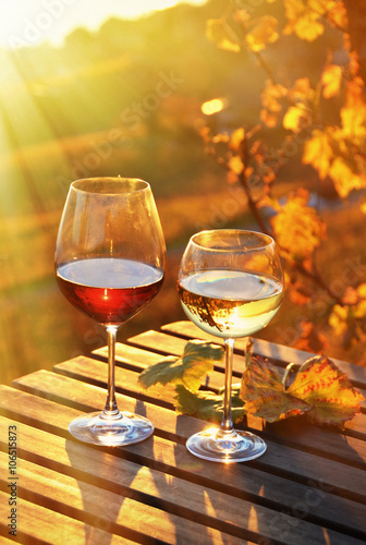 Wine and grapes against vineyards in Lavaux, Switzerland