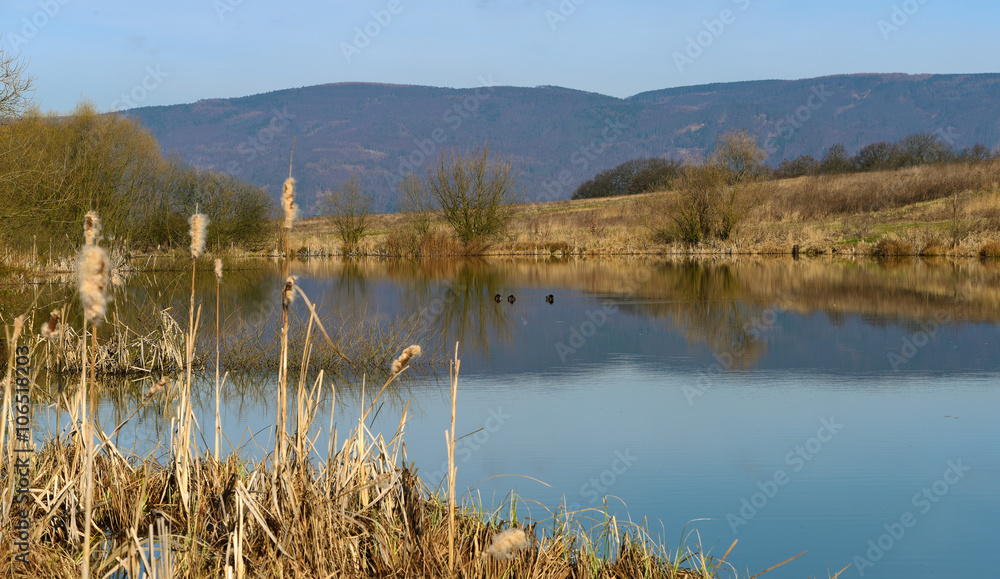 Pond on hill