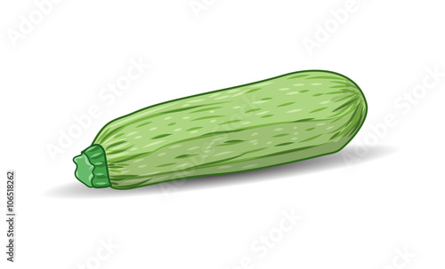 Green squash over white background