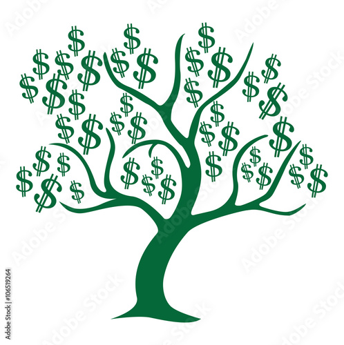 money tree isolated on White background