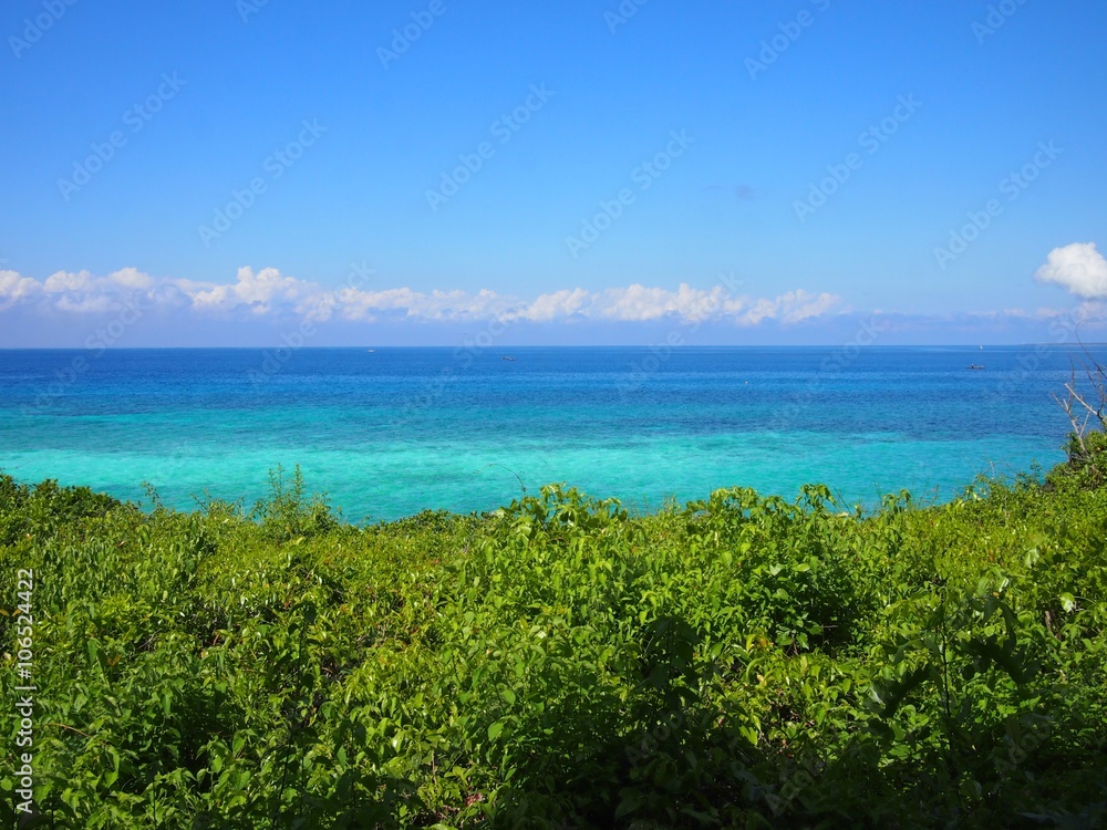 Turquoise sea and green jungle meet