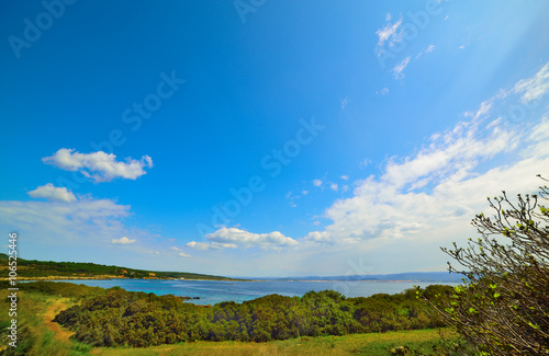 green vegetation and blue sea © Gabriele Maltinti