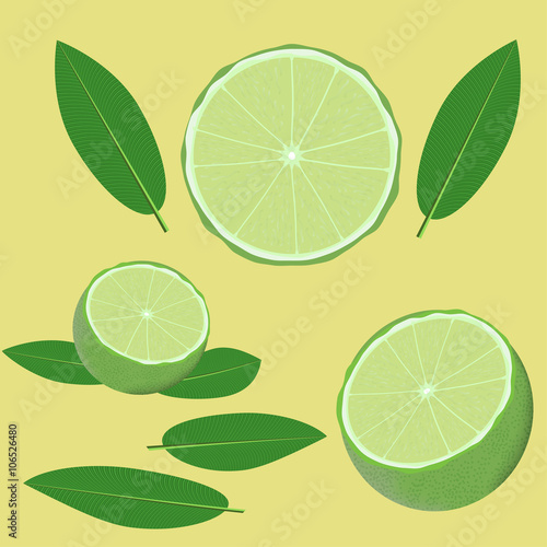 lime and leaves