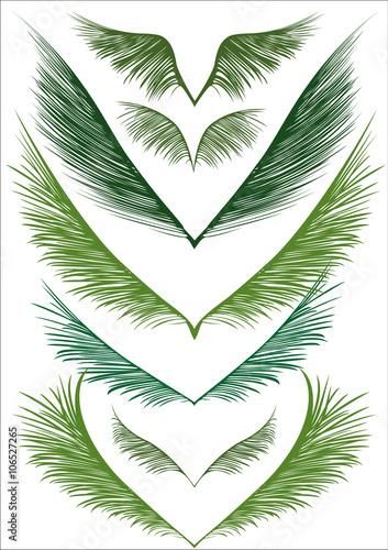 green palm fronds