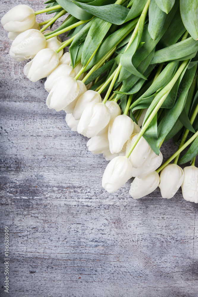 bouquet of white tulips.Flowers of spring and love.Happy Mothers Day.Copy space.selective focus. bouquet of white tulips.Flowers of spring and love.Happy Mothers Day.Copy space.selective focus.