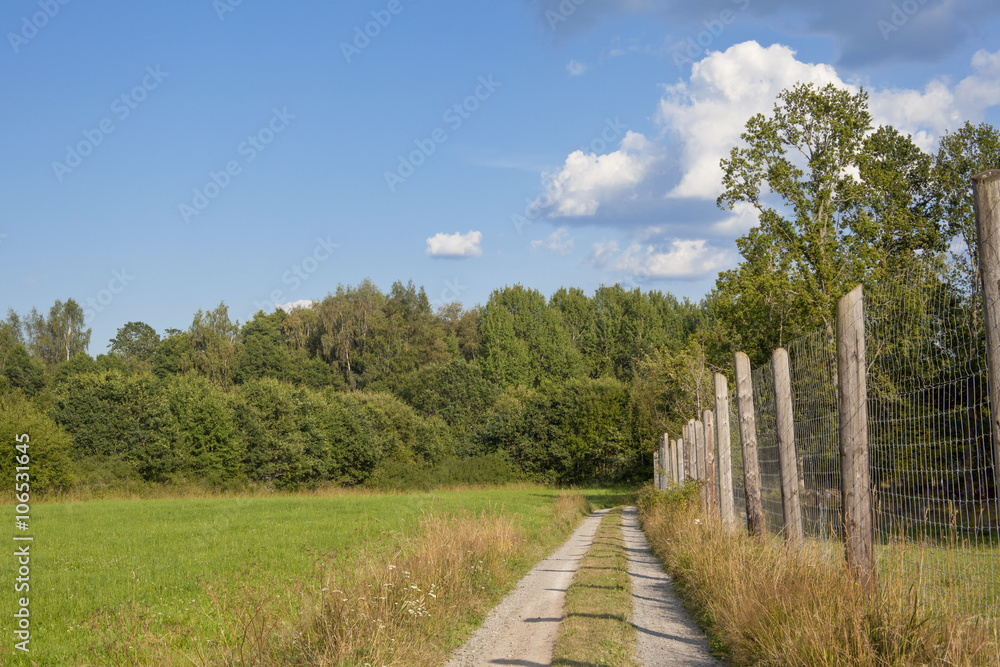 View of a path with a fence in the green countryside in Sweden