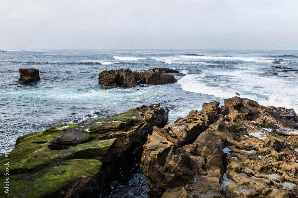 Seagulls and seals rest on rock formations in La Jolla, California.  