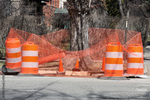 Traffic barrels and orange barrier around a tree trunk photo