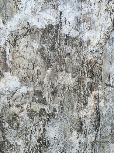 rock background