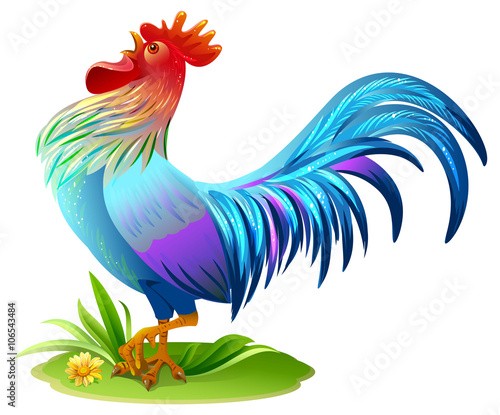 Stampa su tela Blue bird cock. Blue Rooster symbol 2017 year on east horoscope
