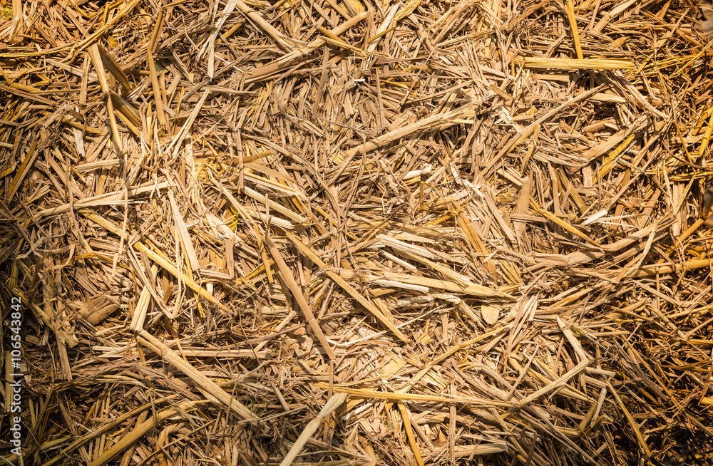 Dry straw texture background (top view)