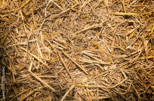 Dry straw texture background (top view)