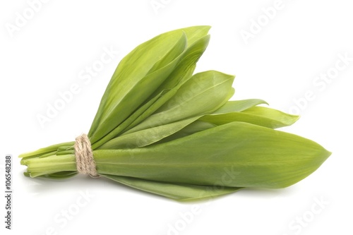 ramsons leaves, wild garlic leaves isolated on white background