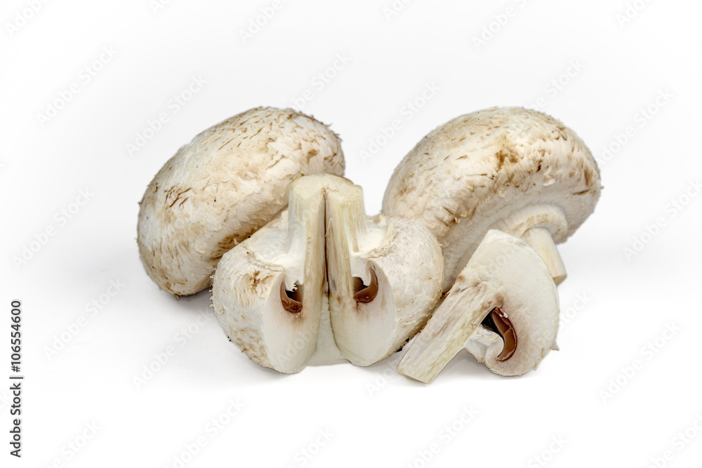 champignon mushrooms on white background champignon mushrooms on white background