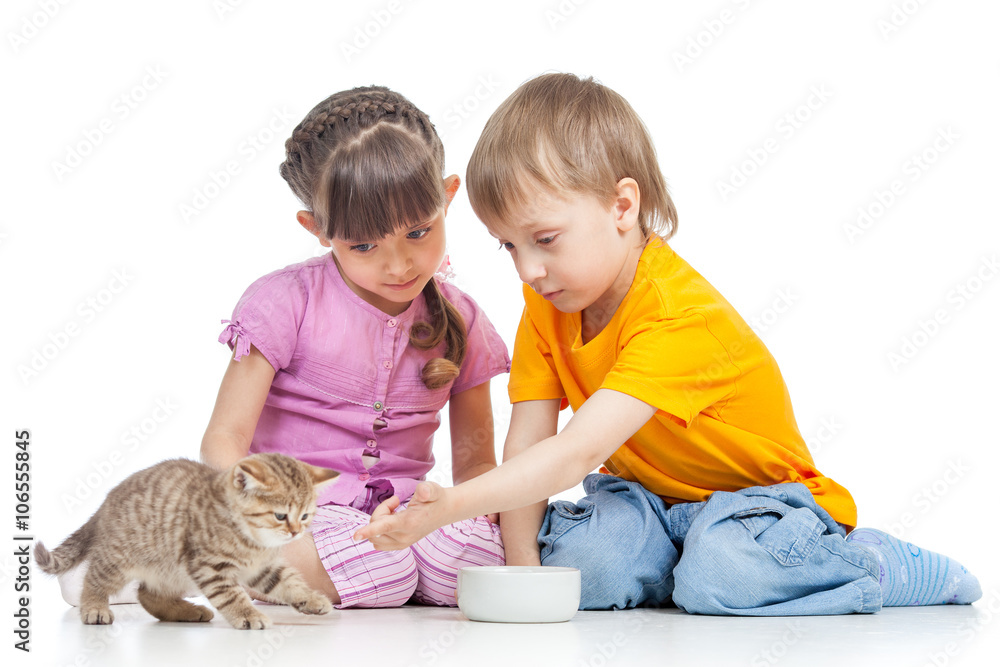 children boy and girl feeding cat kitten children boy and girl feeding cat kitten