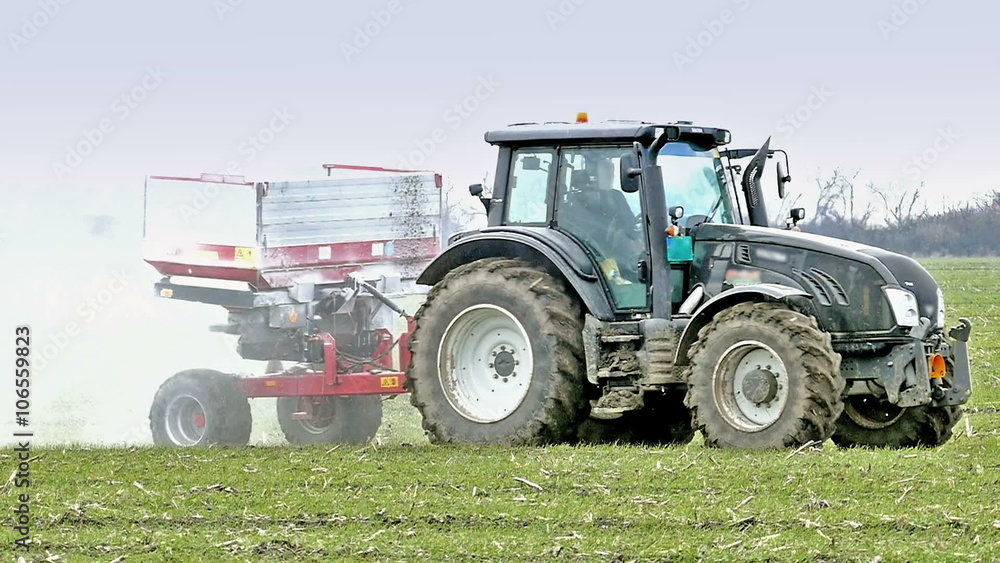 Fertilization of wheat Fertilization of wheat