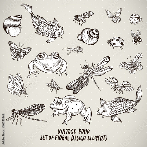 Set of vintage pond water animals vector elements