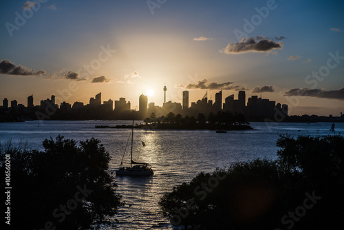 Silhouettes of the skyline in Sydney