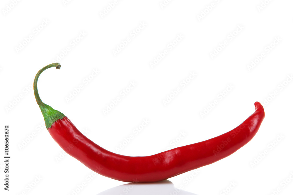 hot red chili with green tail on a white isolated background hot red chili with green tail on a white isolated background