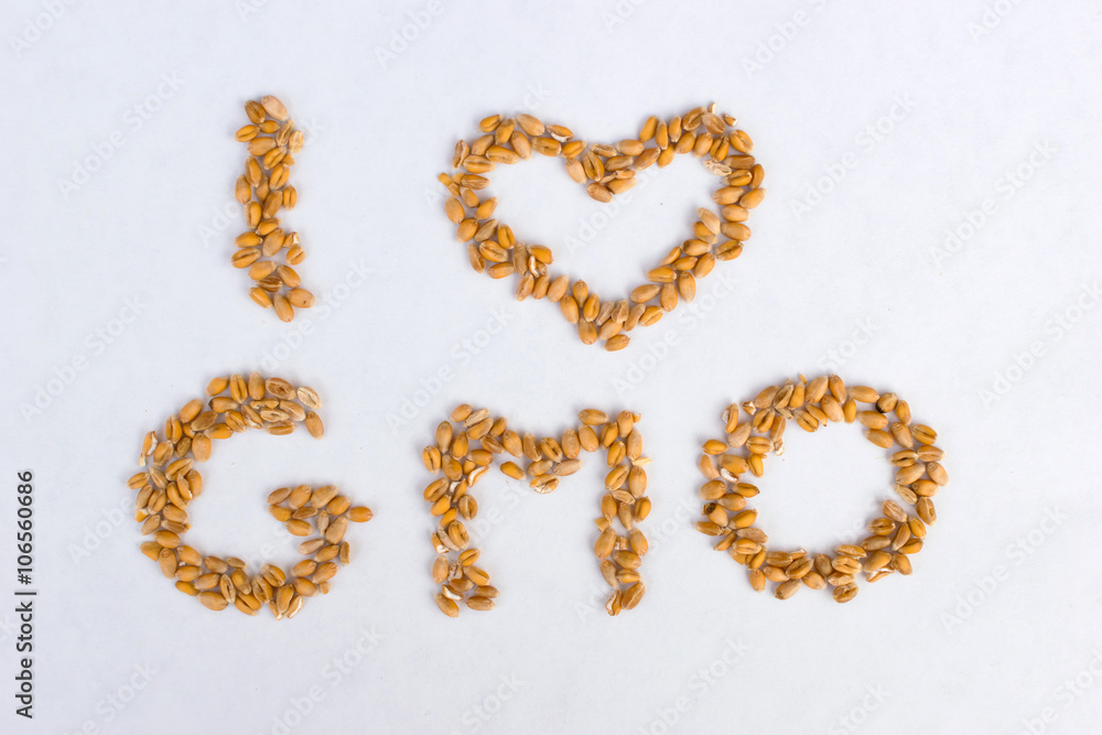 GMO concept GMO concept