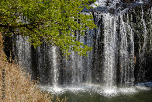 Milstream Falls in autumn
Ravenshoe, Milstream National Park, North Queensland, Australia photo