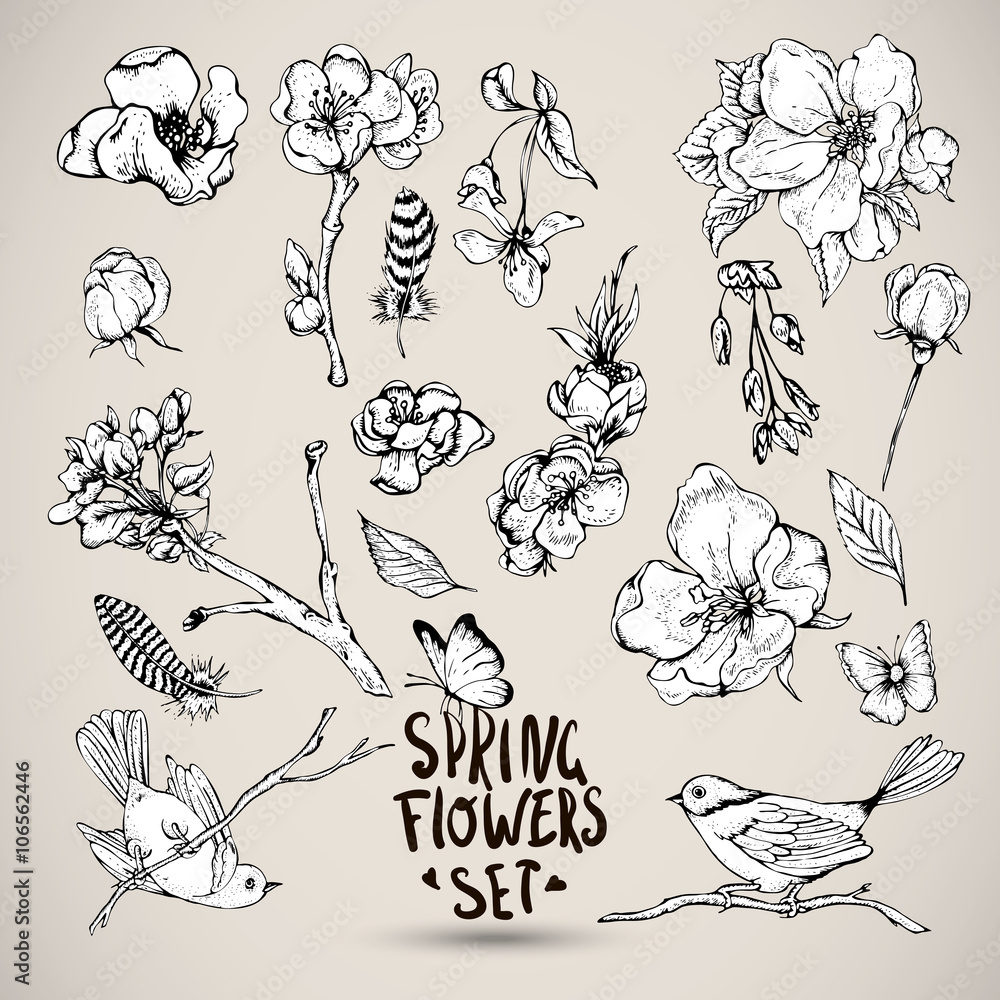 Set of Vector Spring Nature elements Set of Vector Spring Nature elements