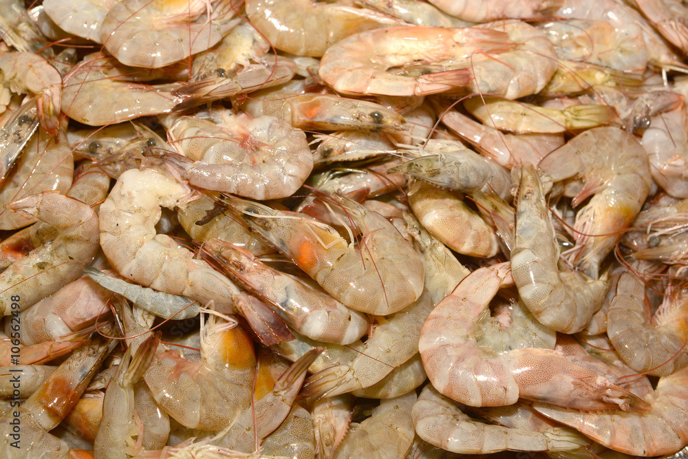 Fresh shrimps