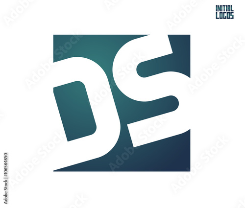 DS Initial Logo for your startup venture