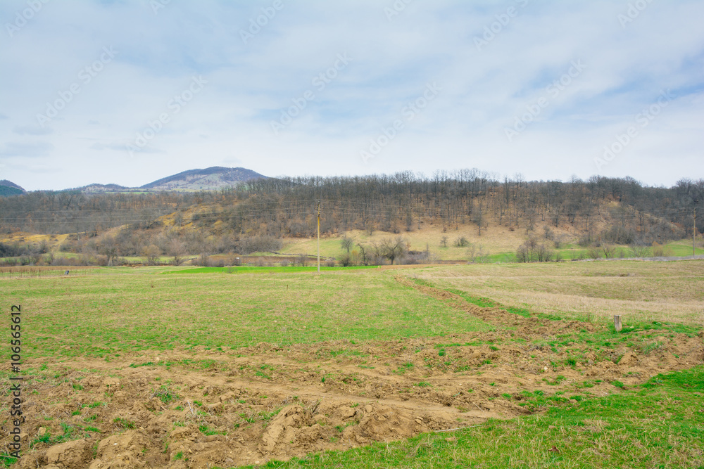 Obraz premium Beautiful forest, meadows and trees in the spring, Bulgaria
