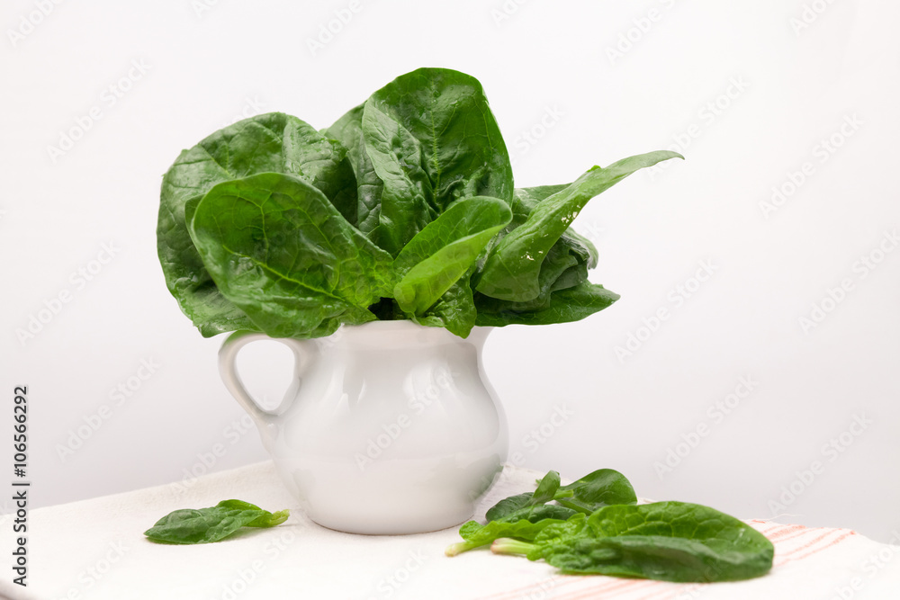 Still life composition with fresh spinach leaves Still life composition with fresh spinach leaves