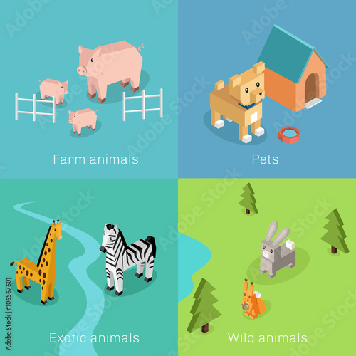 Wild Exotic and Farm Animal Set Isometric