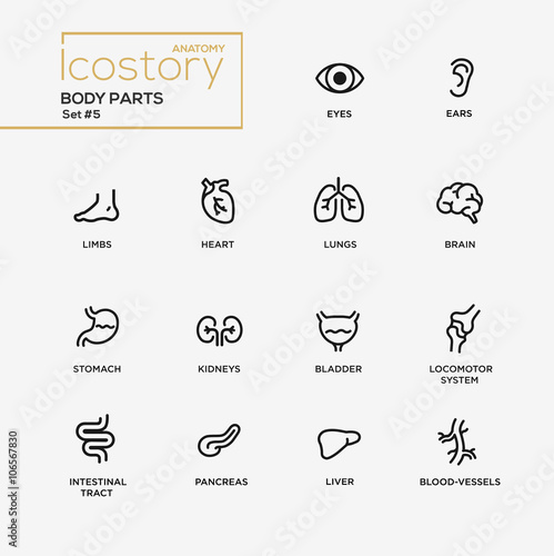 Body parts modern simple thin line design icons, pictograms set