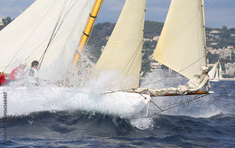 Naklejka premium voiliers