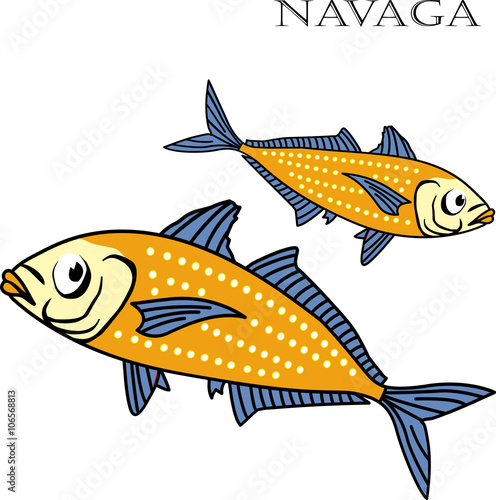 Nagava fish color cartoon vector illustration.