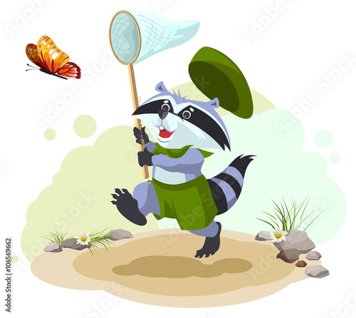 Scout raccoon butterfly catches. Entomologist with butterfly net. Summer leisure