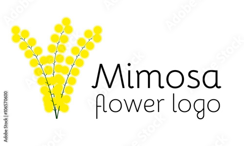 Mimosa flower logotype. Perfect logo for flower shop, beauty salon or cosmetician shop.