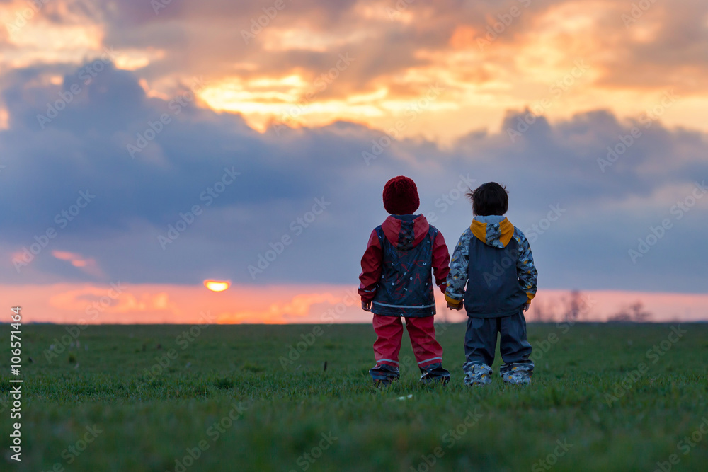 Two adorable children, boy brothers, watching beautiful splendid