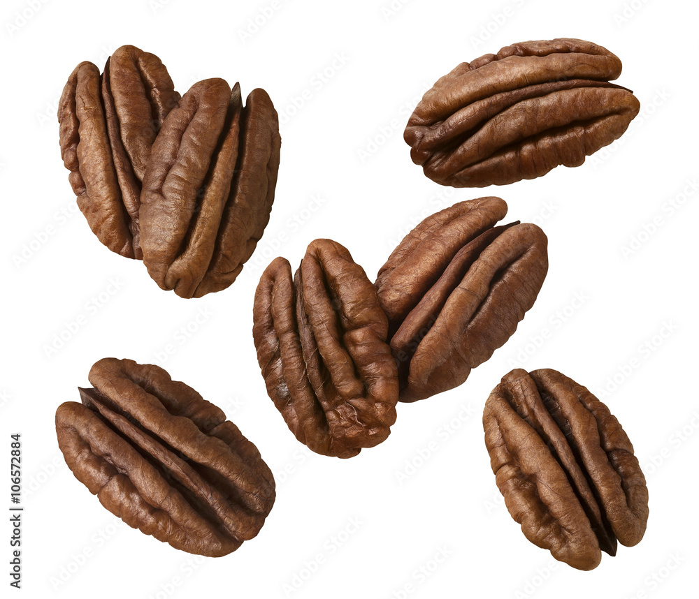 Pecan nut set isolated on white background Pecan nut set isolated on white background