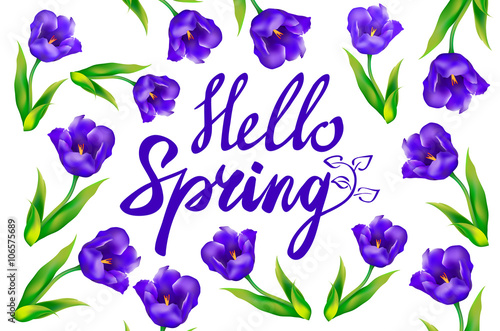 Hello spring blue violet tulip. card