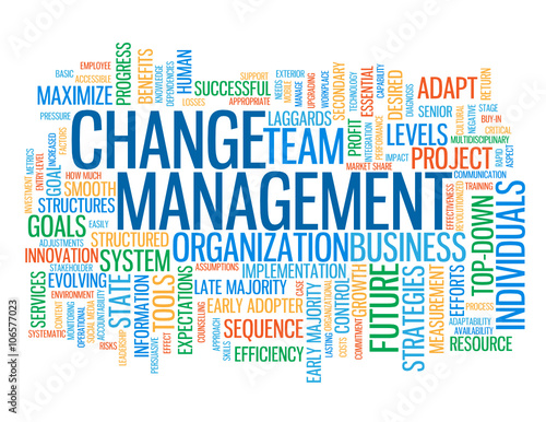 CHANGE MANAGEMENT Vector Tag Cloud 