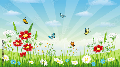 Floral background with butterflies