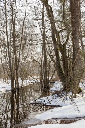 The origins of the river Pekhorka