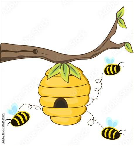The bees fly out of a beehive hanging from a tree branch