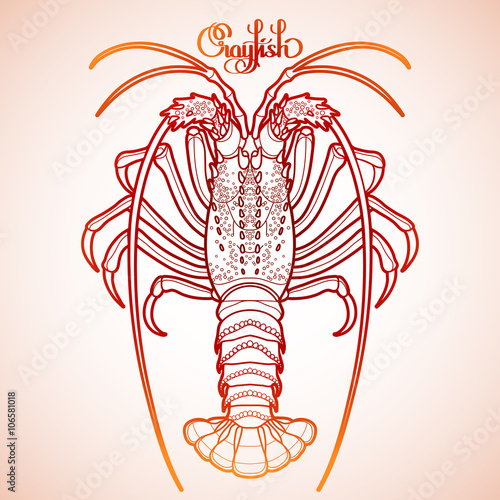 Graphic vector crayfish