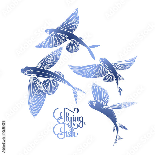 Slika na platnu Graphic flying fish collection