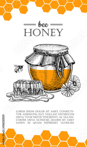 Vector honey bee hand drawn illustrations.  Honey banner, poster