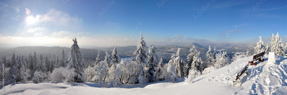 Winter-Panorama vom Thüringer Wald